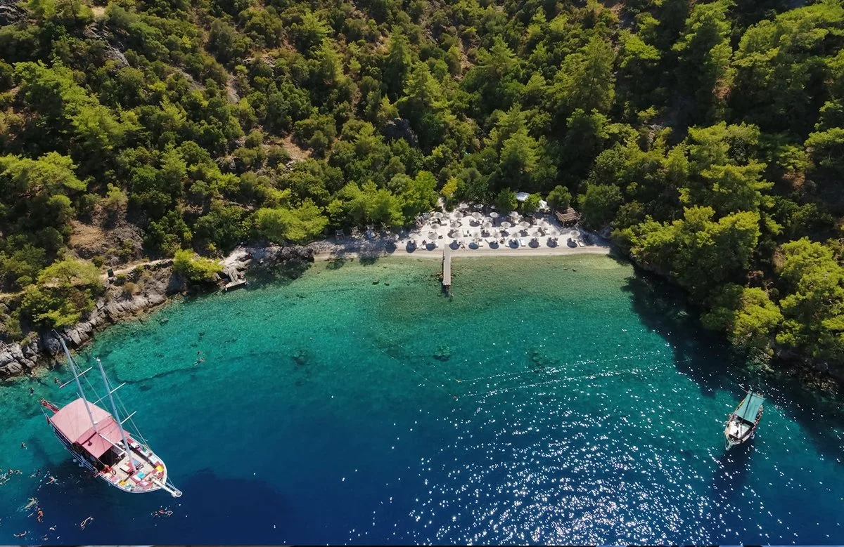 Tarzan Bay