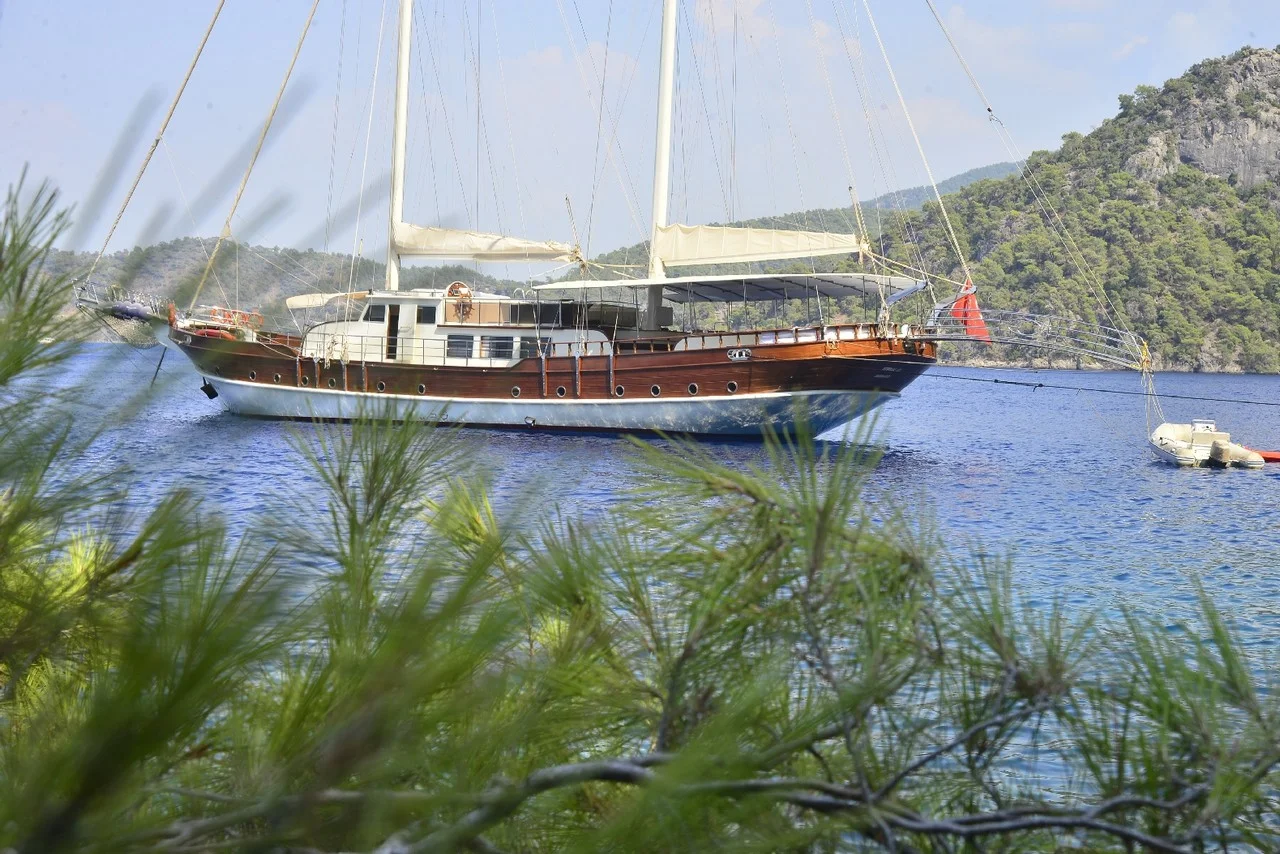 Berrak Su — photo 4