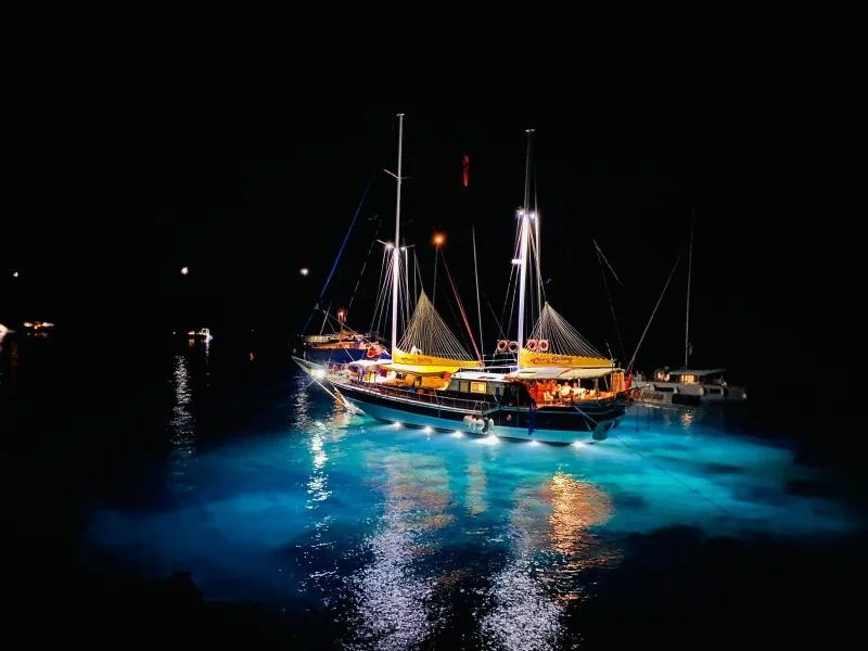 Cheers Gulet: Private Yacht Charter Fethiye — photo 3