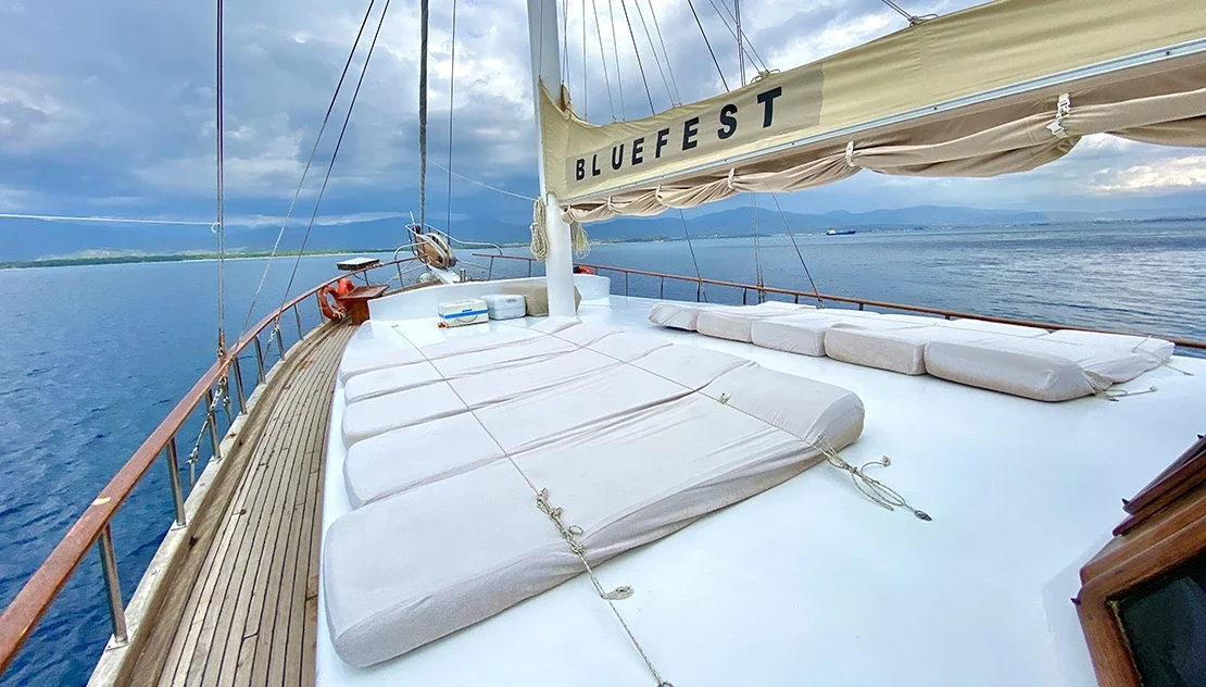 Gulet Bluefest; Classic Gulet With 8 Cabins For Blue Cruise Holidays — photo 9
