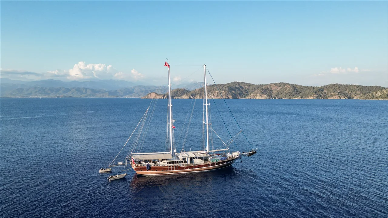 Tarkan 5 — photo 12