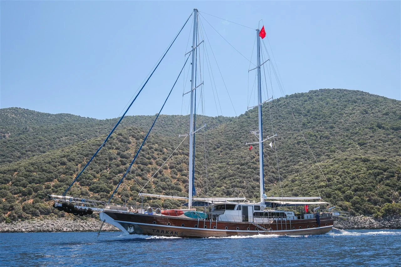 Tarkan 5 — photo 15