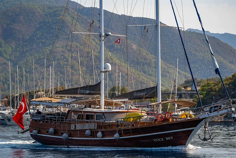 Yüce Bey — cover photo
