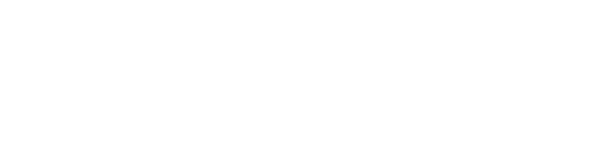 Gulet Cruises